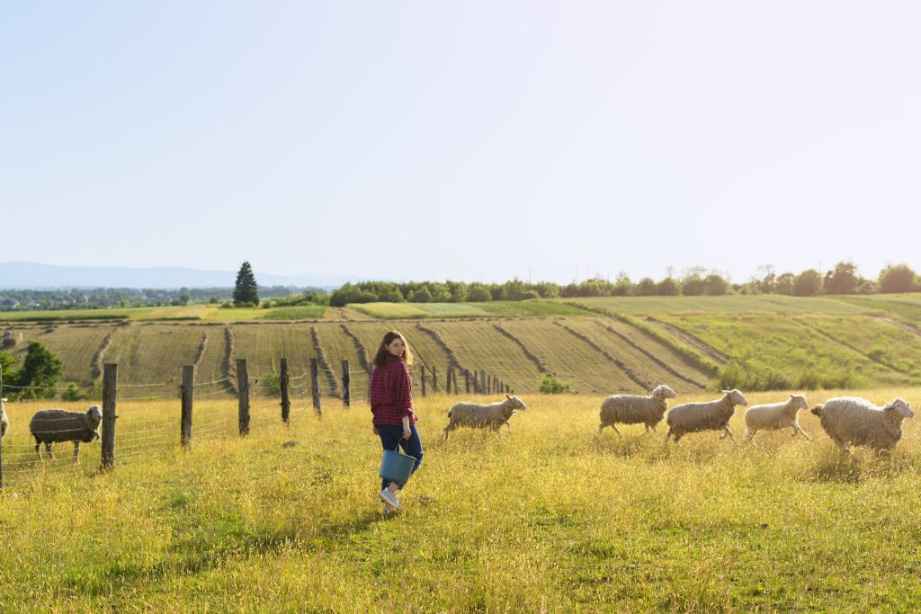 development partners